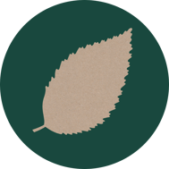 buche-horoskop-baum-uebersicht