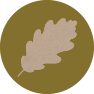 eiche-horoskop-baum-uebersicht