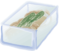 ぬか床使用方法２