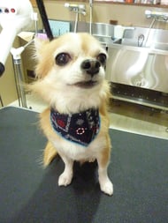 リックちゃん❤