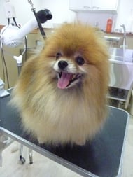 チェルちゃん❤