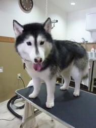 アンナちゃん❤