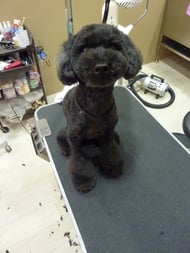 ＣＯＣＯちゃん❤