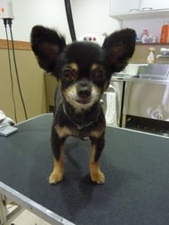 みかんちゃん❤