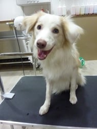 ばんりちゃん❤