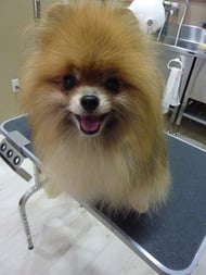 チェルちゃん❤