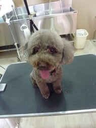 ピースちゃん❤