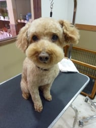 ここあちゃん❤