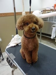 プーチンちゃん❤