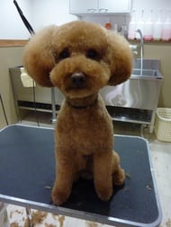 コテツちゃん❤