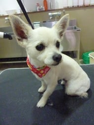 まぁちちゃん❤