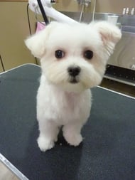 こまめちゃん❤