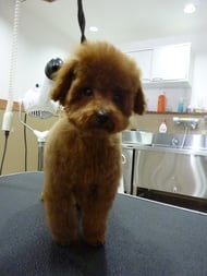 ファンちゃん❤