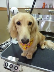 プアンちゃん❤