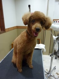 ココアちゃん❤