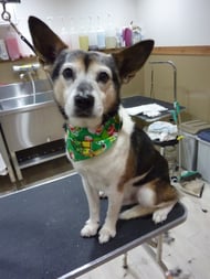 イチローちゃん❤