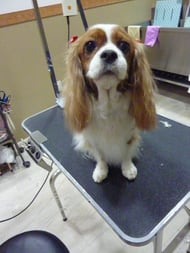 メリーちゃん❤