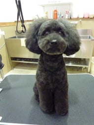 ミントちゃん❤