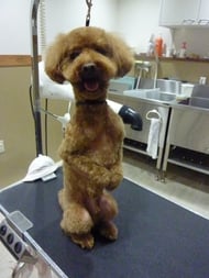 くうたろうちゃん❤