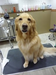 Ａｍｉちゃん❤