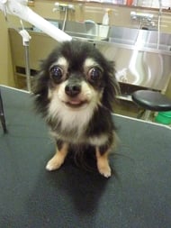 イチゴちゃん❤