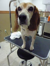 いっきゅうちゃん❤