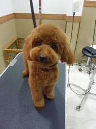 ファンちゃん❤