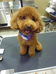 ダフィーちゃん❤