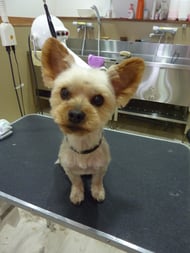 おかゆちゃん❤