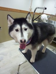 アンナちゃん❤