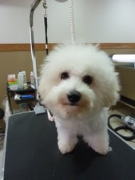 ミルキーちゃん❤