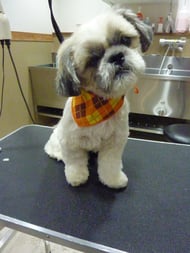 じゅんちゃん❤