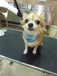 リックちゃん❤