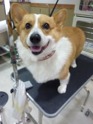 リックちゃん❤