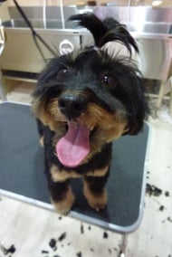 りんたろうちゃん❤