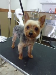 くるみちゃん❤