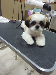 ヨンファちゃん❤