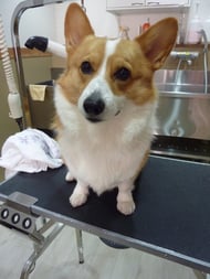 りっくちゃん❤