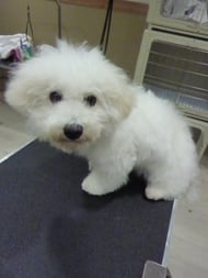 ミルキーちゃん❤