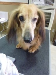 セイヤちゃん❤