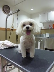 さくらちゃん❤