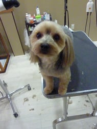 テンテンちゃん❤