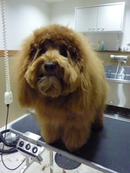 ミックちゃん❤