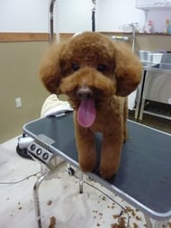 コロンちゃん❤