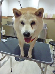 ミントちゃん❤