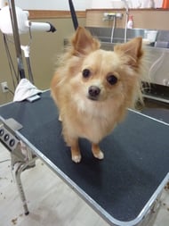 きなたちゃん❤