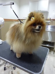 チェルちゃん❤