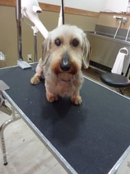 マリンちゃん❤