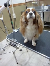 メリーちゃん❤