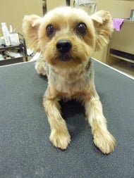 ピッチちゃん❤